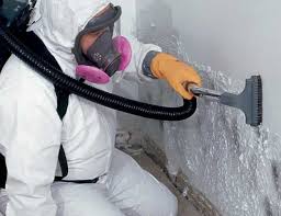 Best Emergency Mold Remediation  in Ritzville, WA